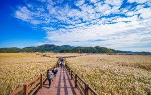 Festivals, sights across Korea