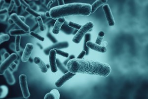 Is your summer safe? Cases of foodborne illness double in June