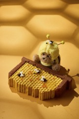 Packages and promotions