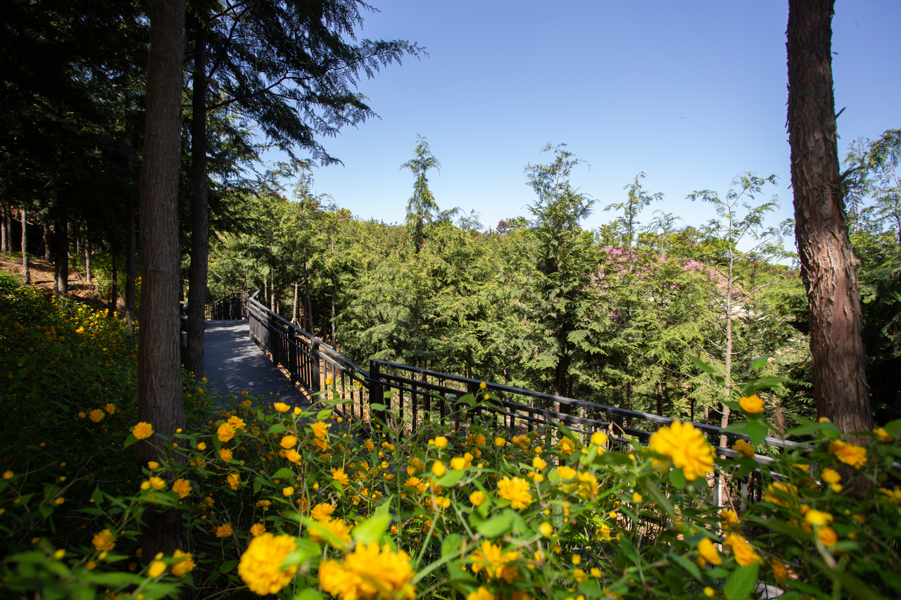 Bongsan Barrier-Free Forest Trail in Eunpyeong-gu, northern Seoul (Seoul Metropolitan Government)