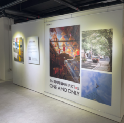Photo exhibition, art in garden and pink playground